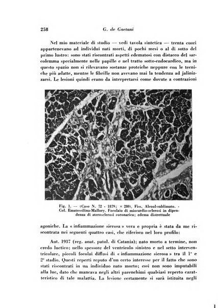 Archivio De Vecchi per l'anatomia patologica e la medicina clinica