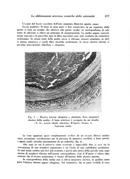 Archivio De Vecchi per l'anatomia patologica e la medicina clinica