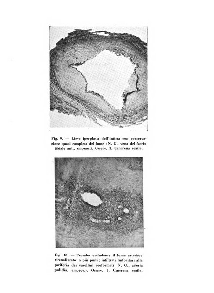 Archivio De Vecchi per l'anatomia patologica e la medicina clinica