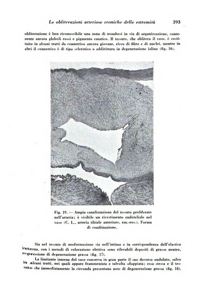 Archivio De Vecchi per l'anatomia patologica e la medicina clinica