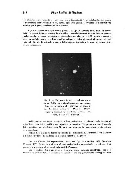 Archivio De Vecchi per l'anatomia patologica e la medicina clinica