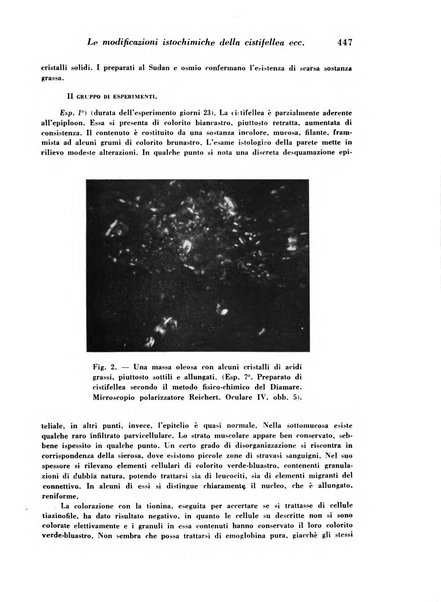 Archivio De Vecchi per l'anatomia patologica e la medicina clinica