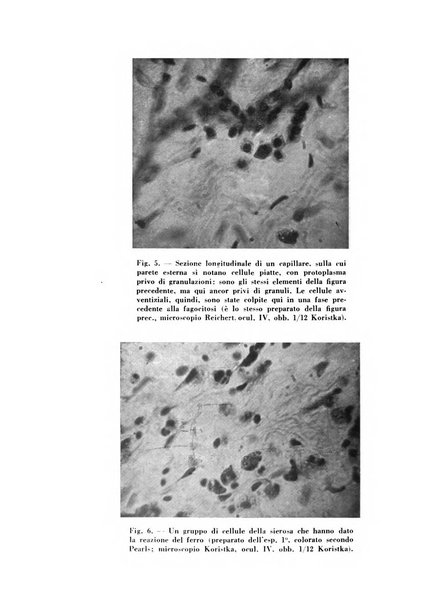 Archivio De Vecchi per l'anatomia patologica e la medicina clinica