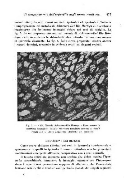 Archivio De Vecchi per l'anatomia patologica e la medicina clinica