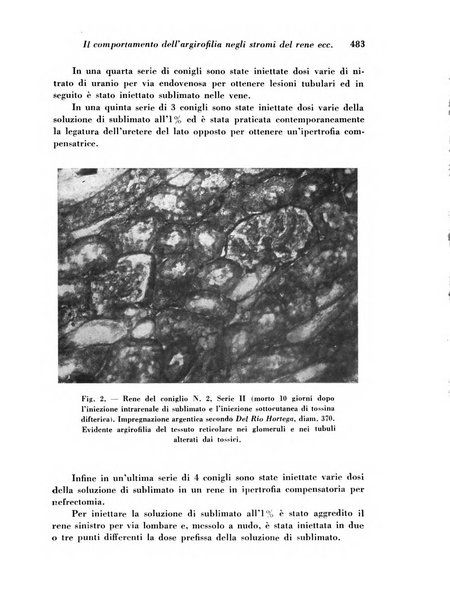 Archivio De Vecchi per l'anatomia patologica e la medicina clinica