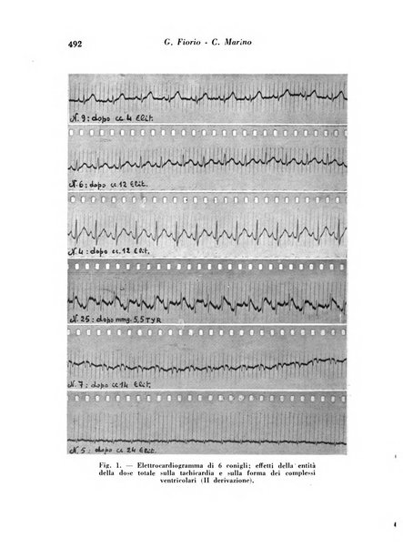 Archivio De Vecchi per l'anatomia patologica e la medicina clinica