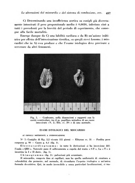 Archivio De Vecchi per l'anatomia patologica e la medicina clinica