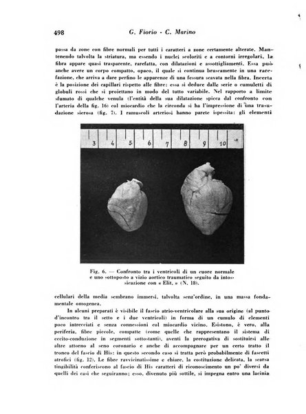 Archivio De Vecchi per l'anatomia patologica e la medicina clinica