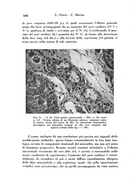 Archivio De Vecchi per l'anatomia patologica e la medicina clinica