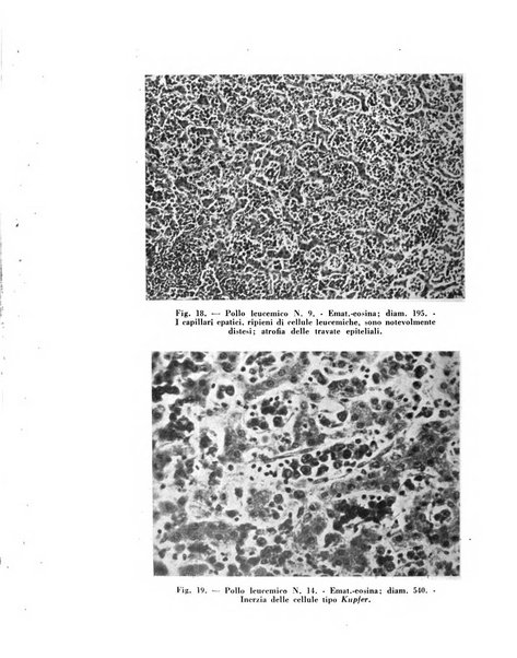 Archivio De Vecchi per l'anatomia patologica e la medicina clinica