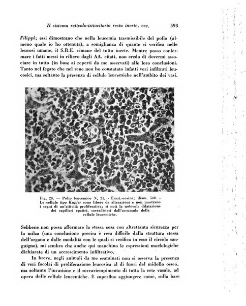 Archivio De Vecchi per l'anatomia patologica e la medicina clinica