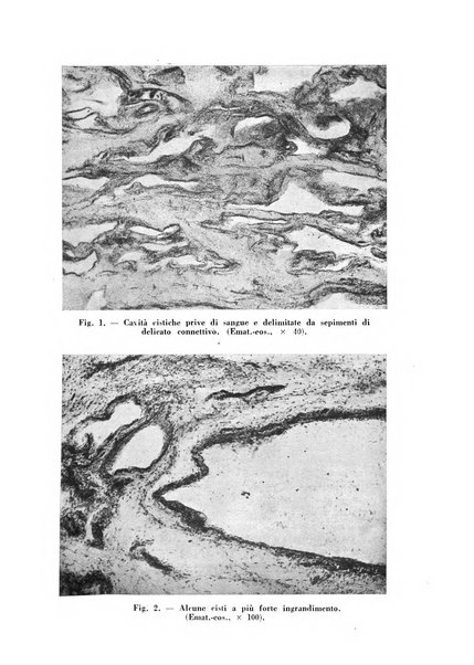 Archivio De Vecchi per l'anatomia patologica e la medicina clinica