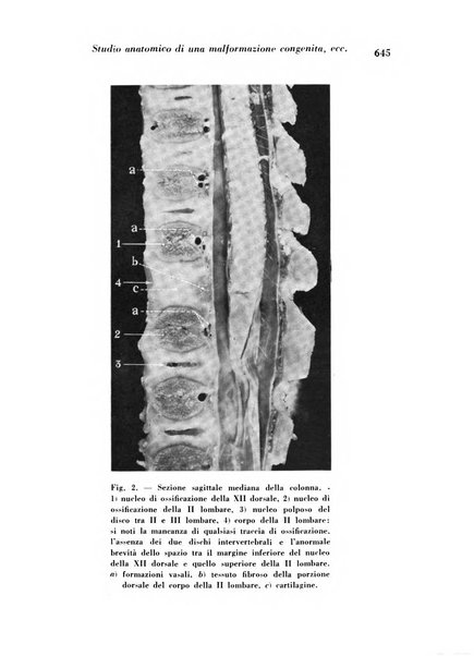 Archivio De Vecchi per l'anatomia patologica e la medicina clinica