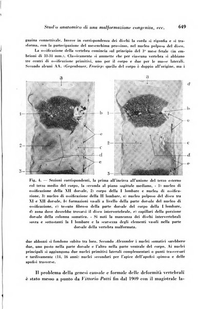 Archivio De Vecchi per l'anatomia patologica e la medicina clinica