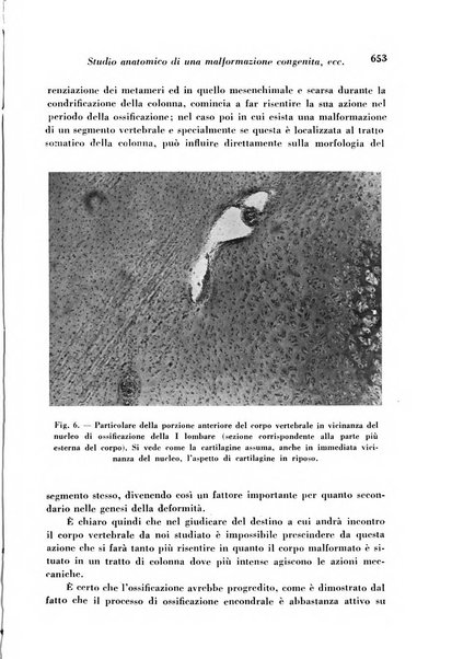 Archivio De Vecchi per l'anatomia patologica e la medicina clinica