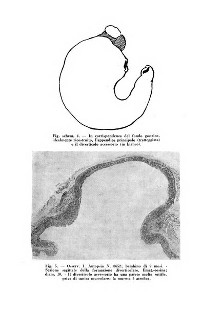 Archivio De Vecchi per l'anatomia patologica e la medicina clinica