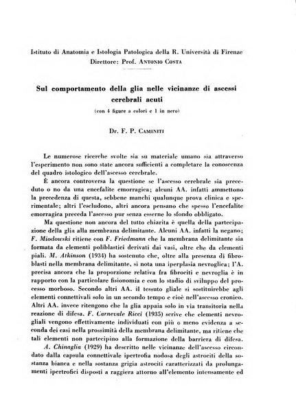 Archivio De Vecchi per l'anatomia patologica e la medicina clinica