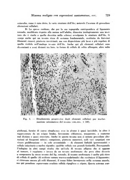 Archivio De Vecchi per l'anatomia patologica e la medicina clinica