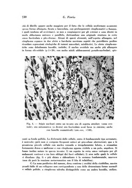 Archivio De Vecchi per l'anatomia patologica e la medicina clinica