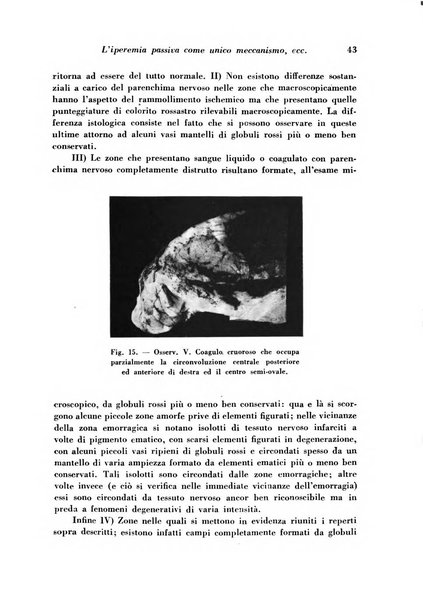 Archivio De Vecchi per l'anatomia patologica e la medicina clinica