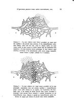 giornale/TO00177004/1944-1945/unico/00000061