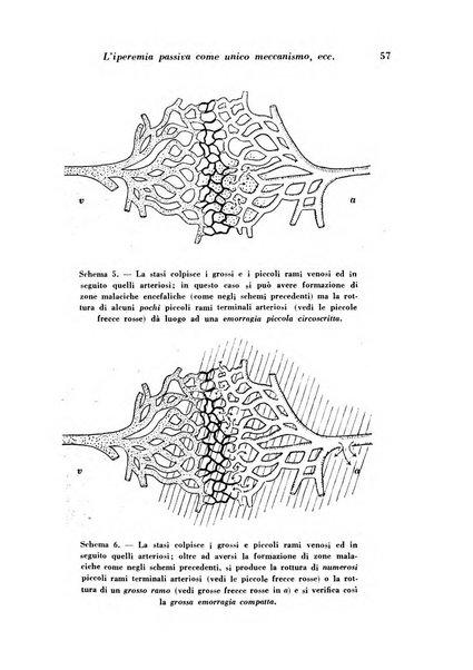 Archivio De Vecchi per l'anatomia patologica e la medicina clinica