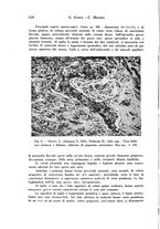 giornale/TO00177004/1944-1945/unico/00000116