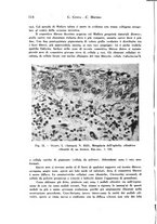 giornale/TO00177004/1944-1945/unico/00000120