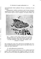 giornale/TO00177004/1944-1945/unico/00000141
