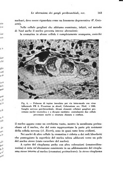 Archivio De Vecchi per l'anatomia patologica e la medicina clinica