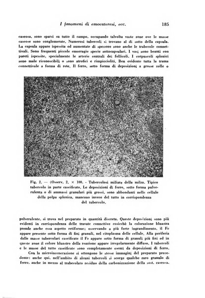 Archivio De Vecchi per l'anatomia patologica e la medicina clinica