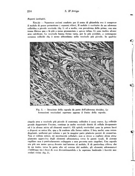 Archivio De Vecchi per l'anatomia patologica e la medicina clinica