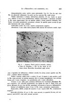 giornale/TO00177004/1944-1945/unico/00000277