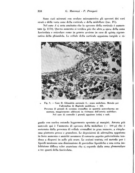 Archivio De Vecchi per l'anatomia patologica e la medicina clinica