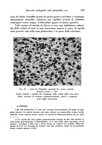 Archivio De Vecchi per l'anatomia patologica e la medicina clinica