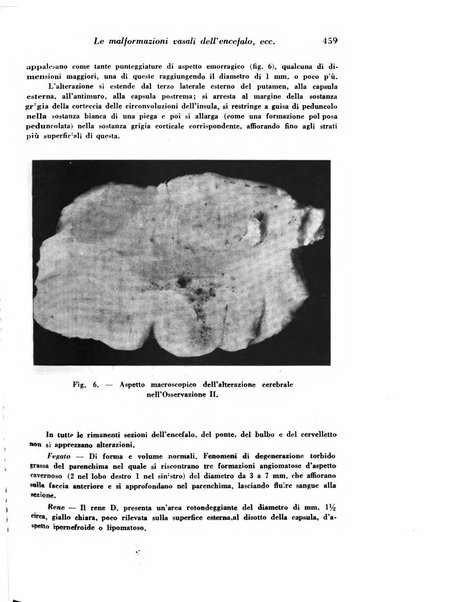 Archivio De Vecchi per l'anatomia patologica e la medicina clinica