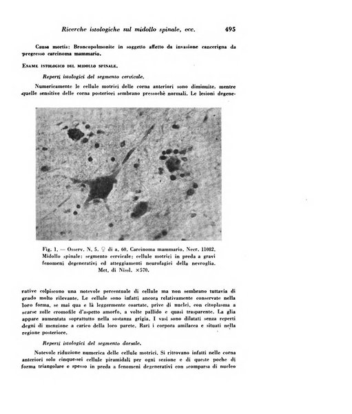 Archivio De Vecchi per l'anatomia patologica e la medicina clinica