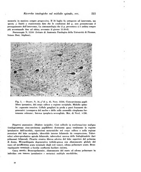 Archivio De Vecchi per l'anatomia patologica e la medicina clinica