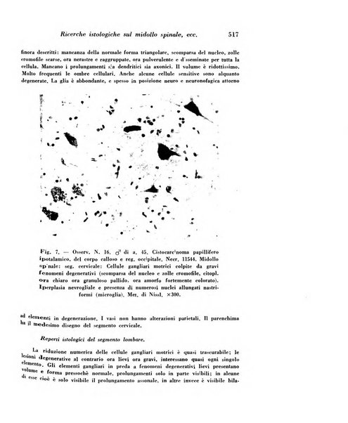 Archivio De Vecchi per l'anatomia patologica e la medicina clinica