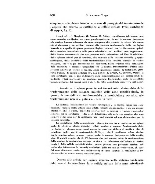 Archivio De Vecchi per l'anatomia patologica e la medicina clinica