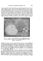 giornale/TO00177004/1944-1945/unico/00000627