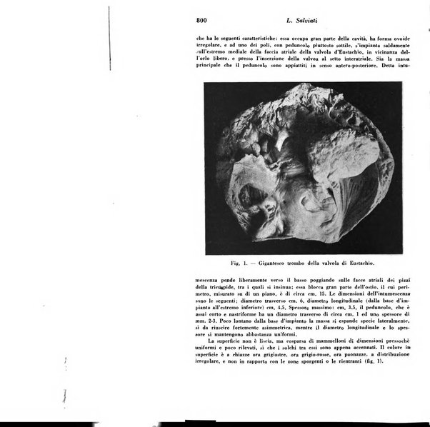 Archivio De Vecchi per l'anatomia patologica e la medicina clinica