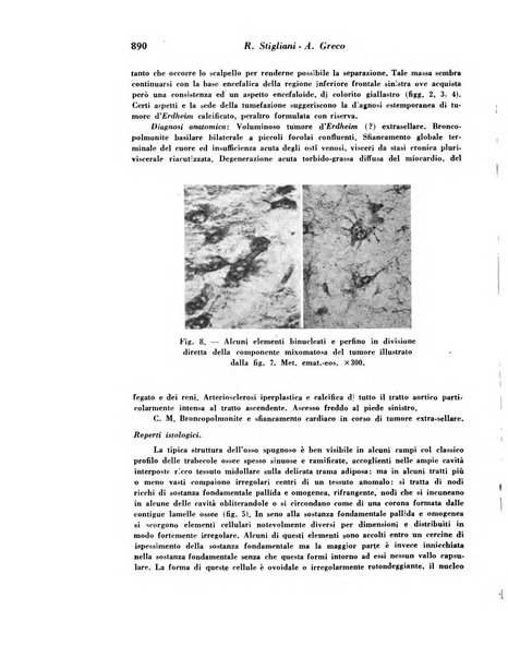 Archivio De Vecchi per l'anatomia patologica e la medicina clinica