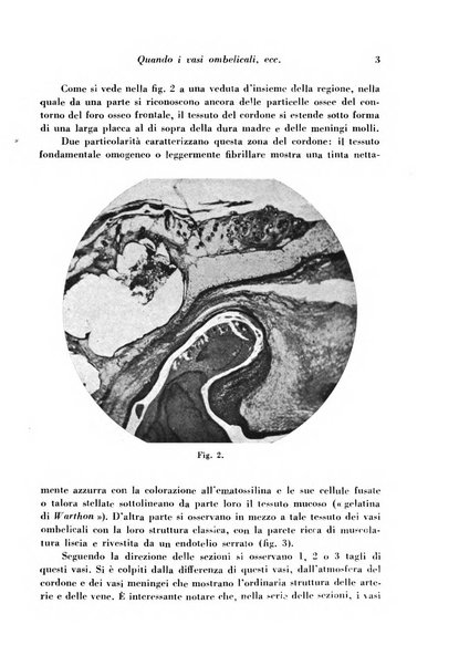 Archivio De Vecchi per l'anatomia patologica e la medicina clinica