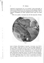 giornale/TO00177004/1945-1946/unico/00000018