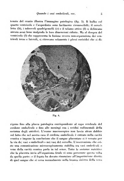 Archivio De Vecchi per l'anatomia patologica e la medicina clinica