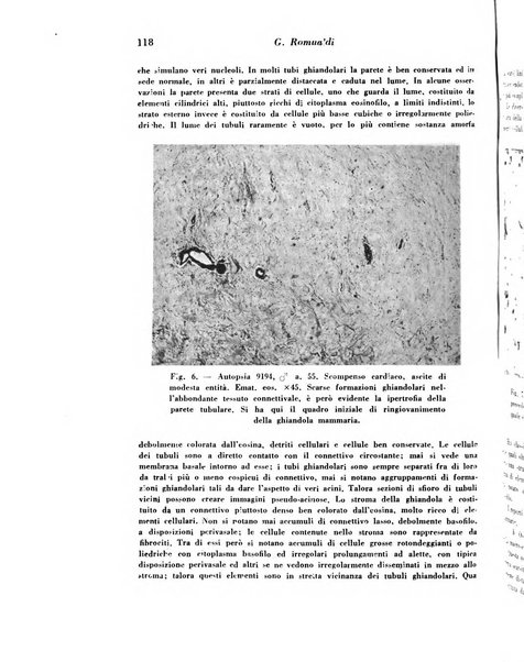 Archivio De Vecchi per l'anatomia patologica e la medicina clinica