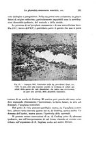 giornale/TO00177004/1945-1946/unico/00000147