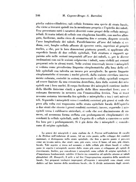 Archivio De Vecchi per l'anatomia patologica e la medicina clinica