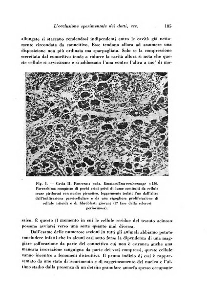 Archivio De Vecchi per l'anatomia patologica e la medicina clinica